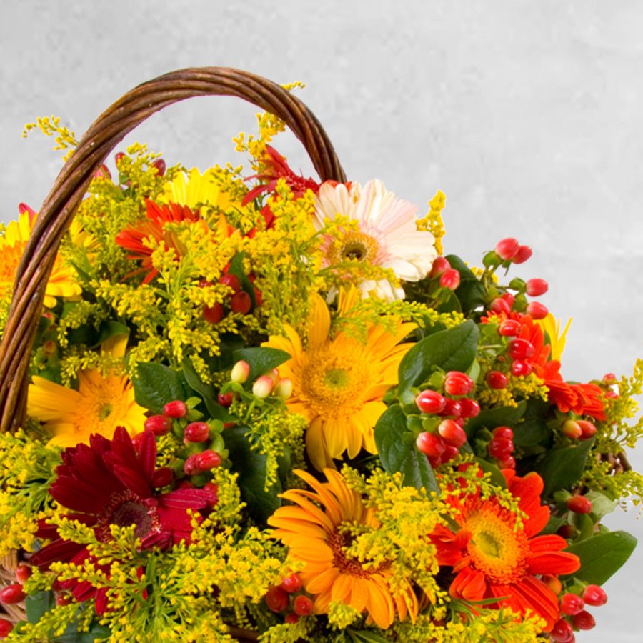Cesto Gerberas Cesto Gerberas - Floristas, entrega de flores lisboa