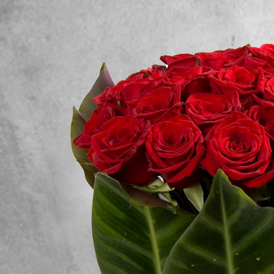 Rosas Em Jarra Folhas Rosas Em Jarra Folhas - Floristas, entrega de flores lisboa