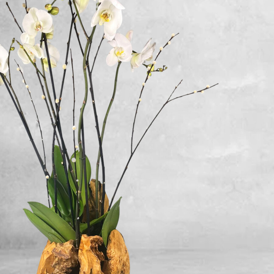 Madeira Com OrquÍdeas Madeira Com OrquÍdeas - Floristas, entrega de flores lisboa