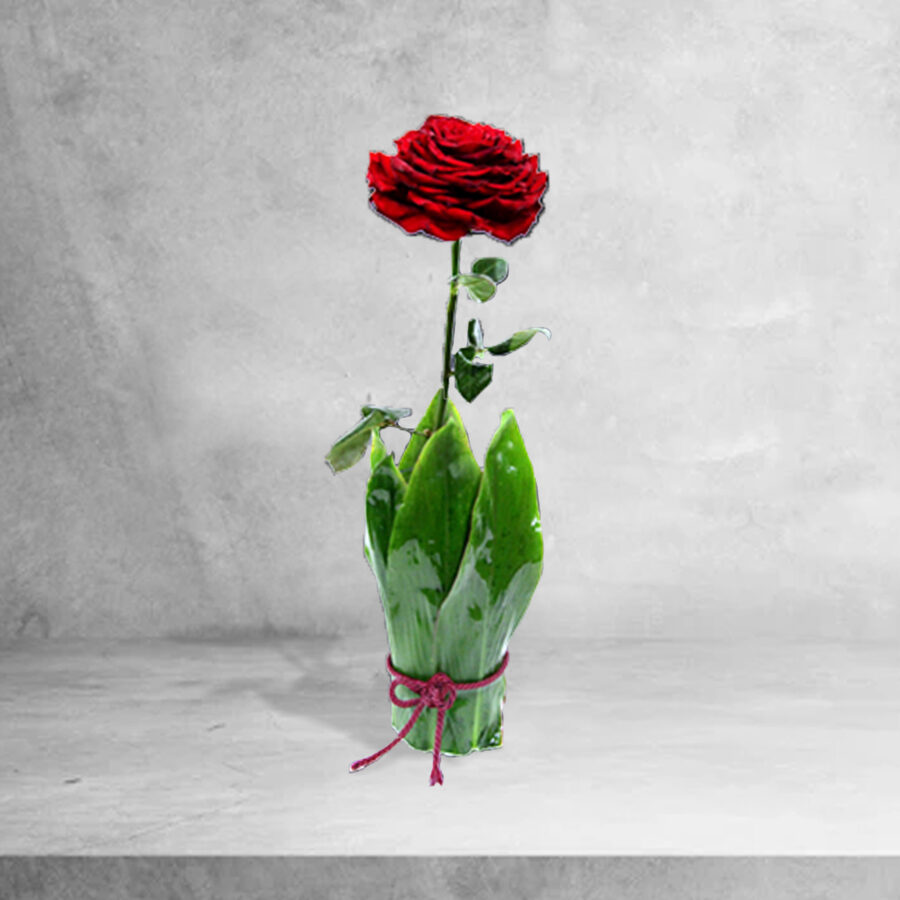 Rosa PaixÃo Rosa PaixÃo - Floristas, entrega de flores lisboa